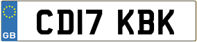 Trailer License Plate